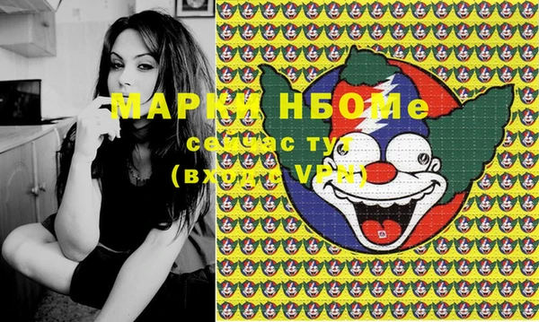 дживик Майский