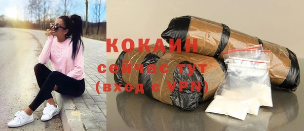 дживик Майский