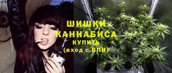 PSILOCYBIN Горняк
