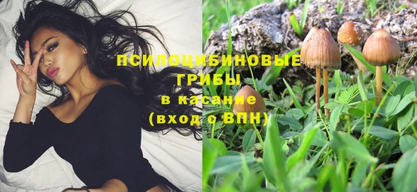 кристаллы Мегион