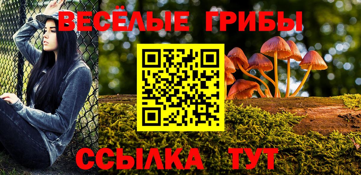 Галлюциногенные грибы ЛСД Медногорск