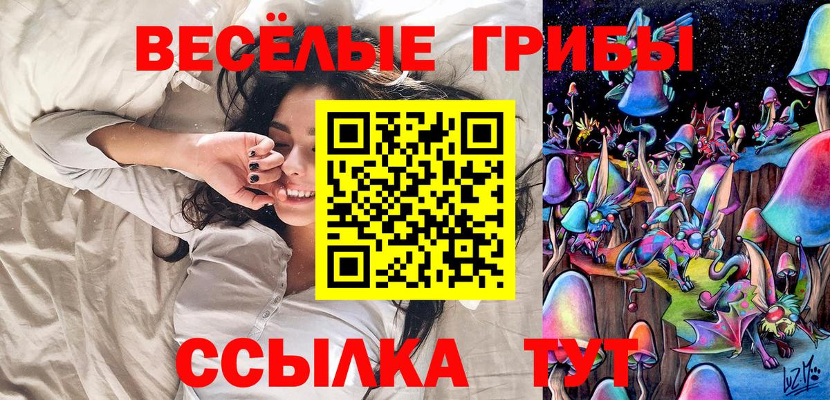 магазин    Медногорск  Галлюциногенные грибы мухоморы 