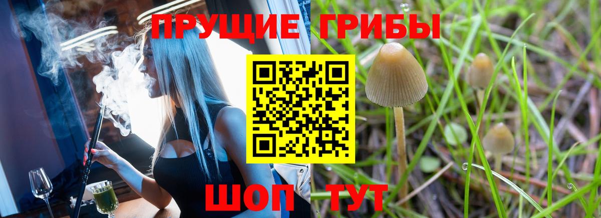 Галлюциногенные грибы Cubensis  Псилоцибиновые грибы MAGIC MUSHROOMS  Вход с VPN  Медногорск 