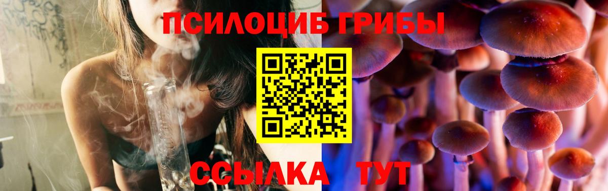Галлюциногенные грибы Psilocybe Медногорск
